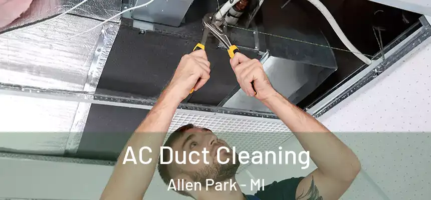  AC Duct Cleaning Allen Park - MI