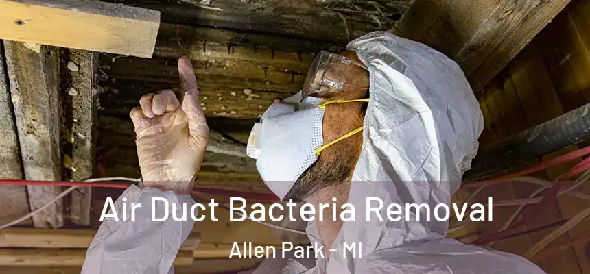 Air Duct Bacteria Removal Allen Park - MI