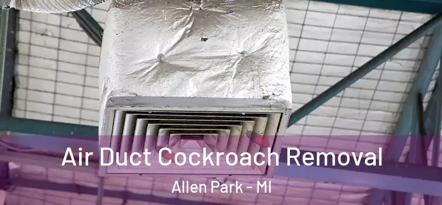  Air Duct Cockroach Removal Allen Park - MI