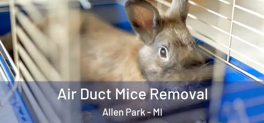 Air Duct Mice Removal Allen Park - MI