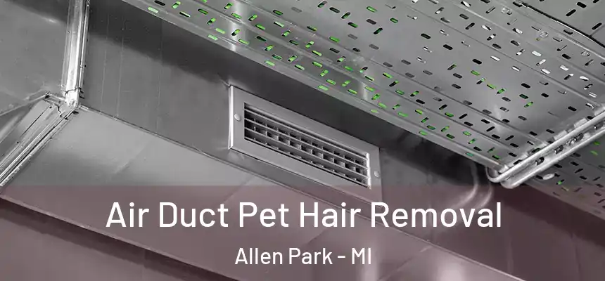 Air Duct Pet Hair Removal Allen Park - MI