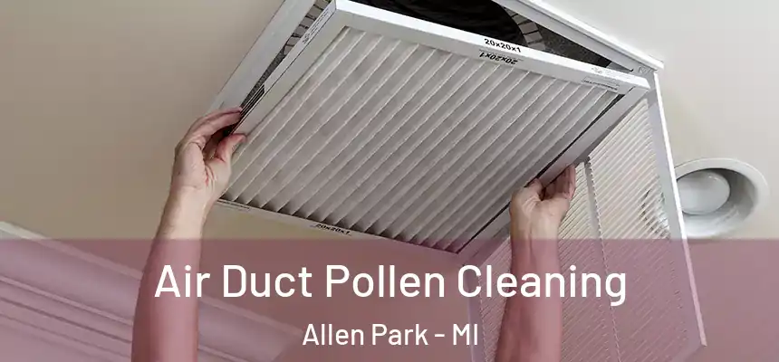 Air Duct Pollen Cleaning Allen Park - MI