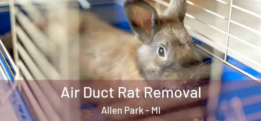 Air Duct Rat Removal Allen Park - MI