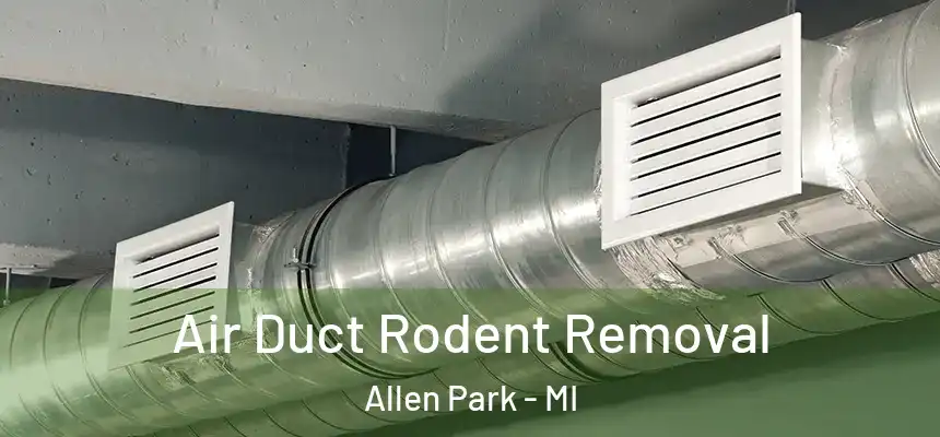 Air Duct Rodent Removal Allen Park - MI