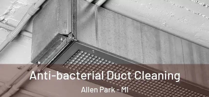  Anti-bacterial Duct Cleaning Allen Park - MI
