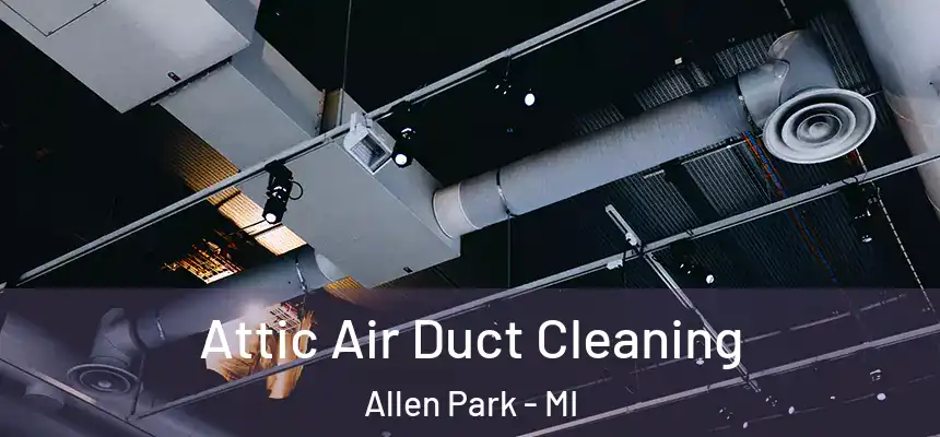  Attic Air Duct Cleaning Allen Park - MI