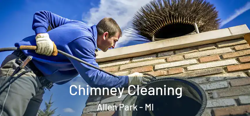  Chimney Cleaning Allen Park - MI