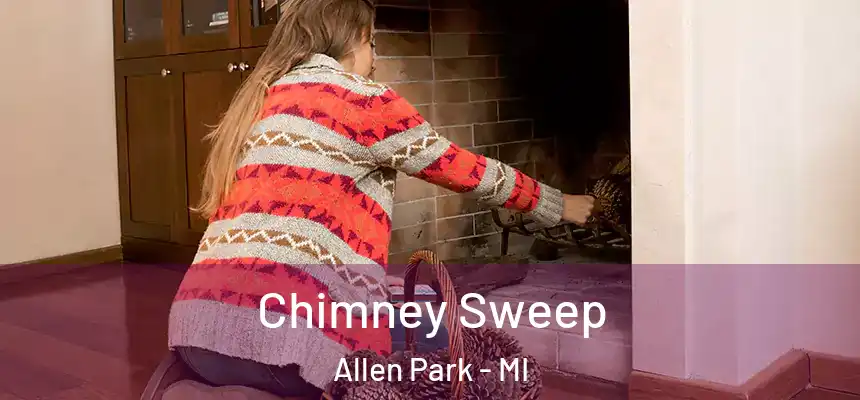  Chimney Sweep Allen Park - MI
