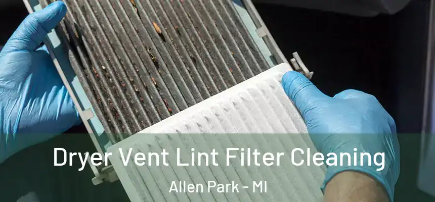  Dryer Vent Lint Filter Cleaning Allen Park - MI