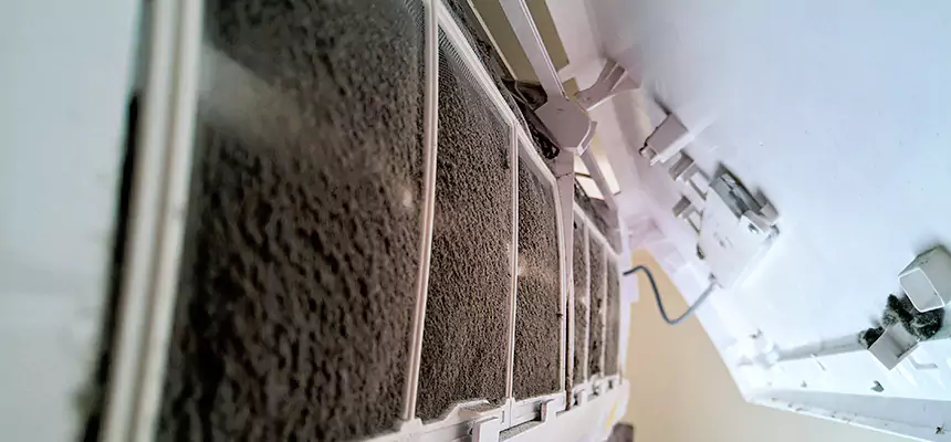 Preventive Air Duct Bacteria Removal in Allen Park