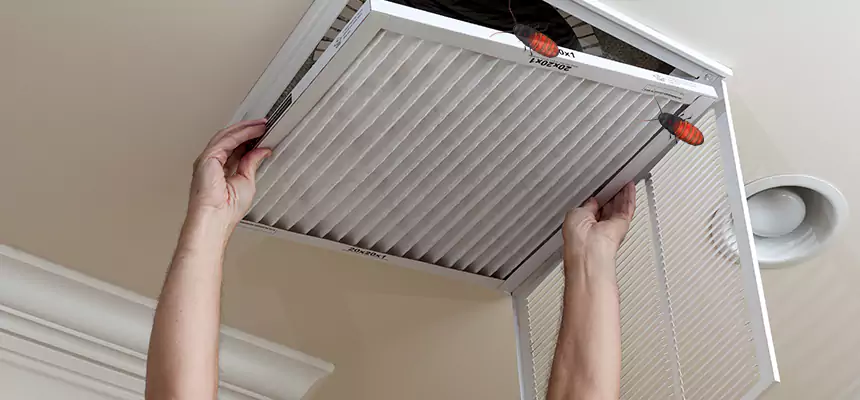 Preventive Cockroach-Proofing for Ducts in Allen Park