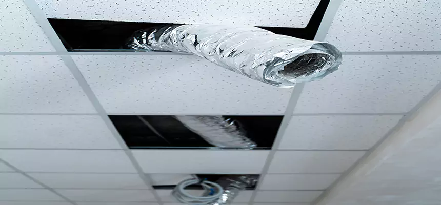 Our Air Duct Pet Hair Removal Services in Allen Park, MI