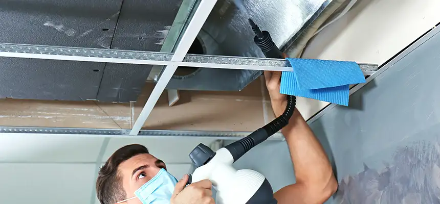 Our Air Duct Rodent Removal Services in Allen Park, MI