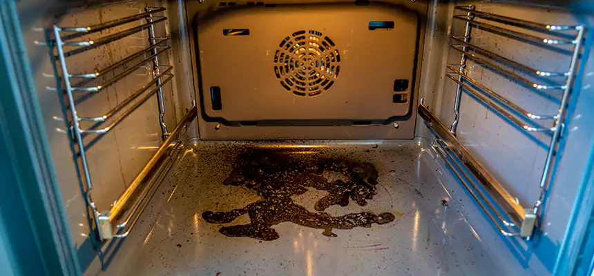 Our Dryer Vent Mold Cleaning Services in Allen Park, MI