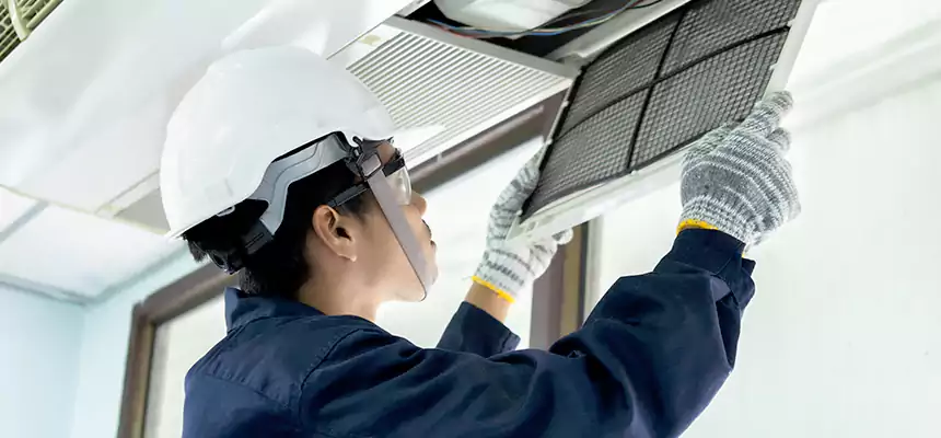 Our Mold & Mildew Removal from Air Ducts Services in Allen Park, MI