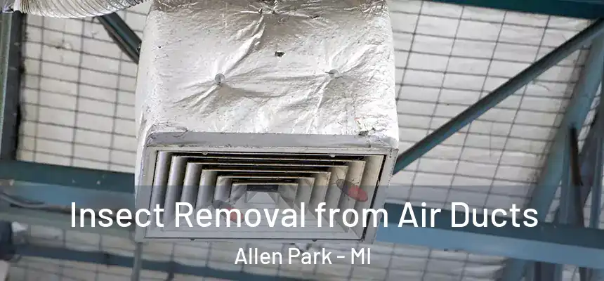 Insect Removal from Air Ducts Allen Park - MI