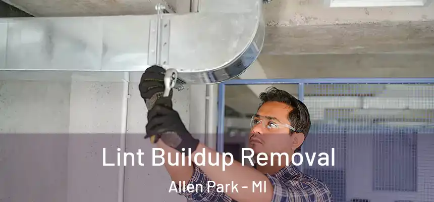 Lint Buildup Removal Allen Park - MI