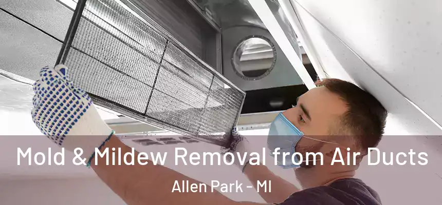  Mold & Mildew Removal from Air Ducts Allen Park - MI