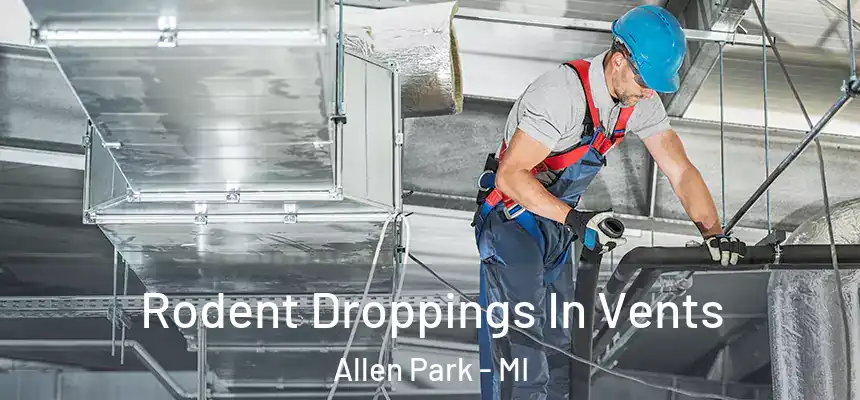  Rodent Droppings In Vents Allen Park - MI