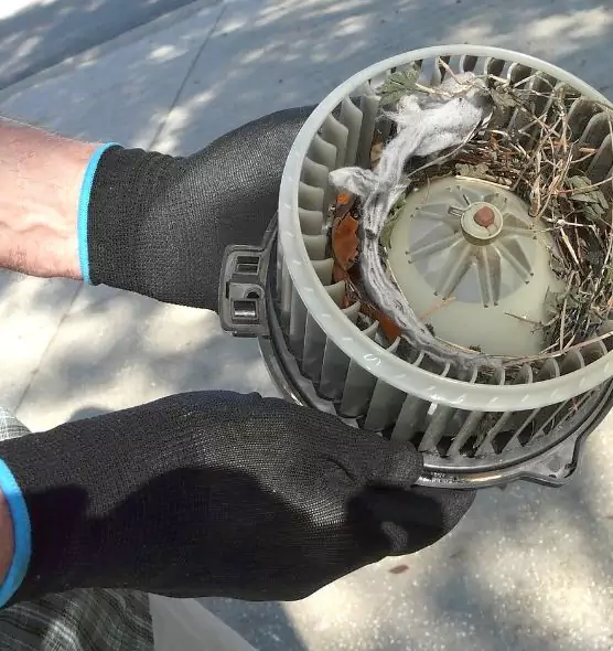 About Air Duct Mice Removal in Allen Park, MI