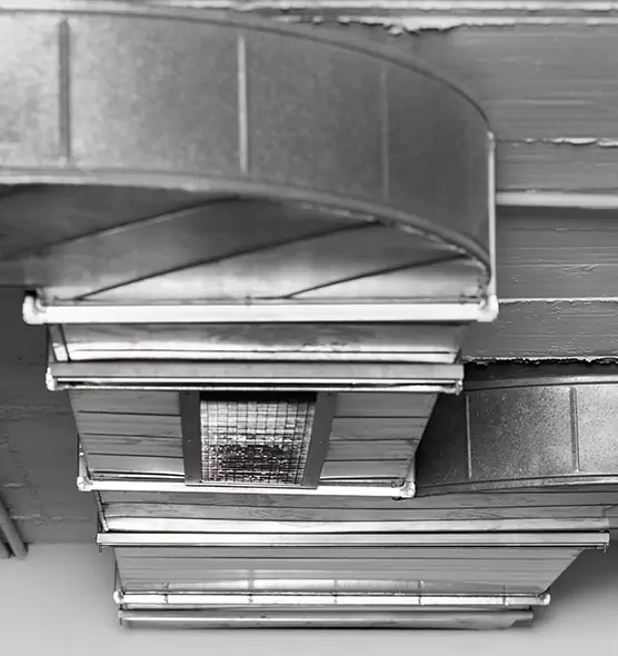 Professional Air Duct Pet Hair Removal in Allen Park, MI