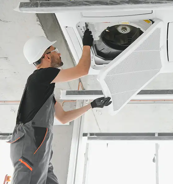 About Air Duct Rodent Removal in Allen Park, MI