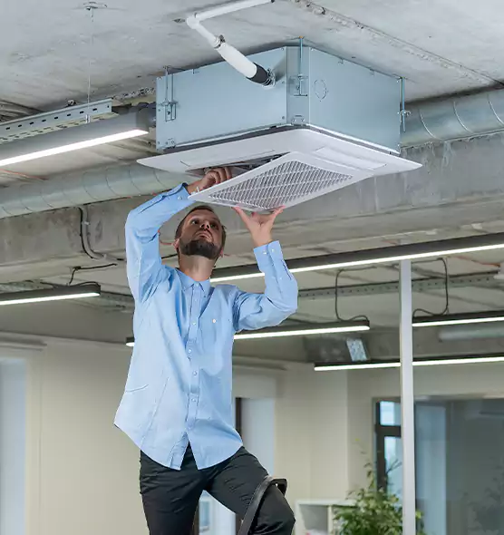 Advanced Rodent Droppings In Vents in Allen Park, MI