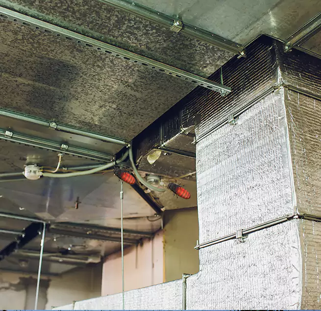 Why Homeowners & Businesses Trust Us in Allen Park, MI?