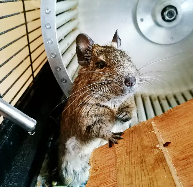 Why Homeowners & Businesses Trust Us Allen Park, MI