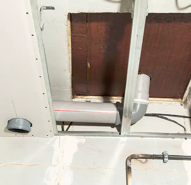 Why Homeowners & Businesses Trust Us in Allen Park, MI?