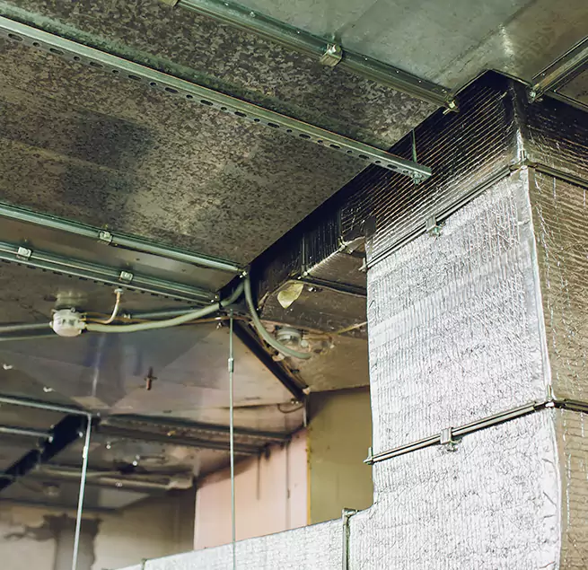 Why Homeowners & Businesses Trust Us in Allen Park, MI?