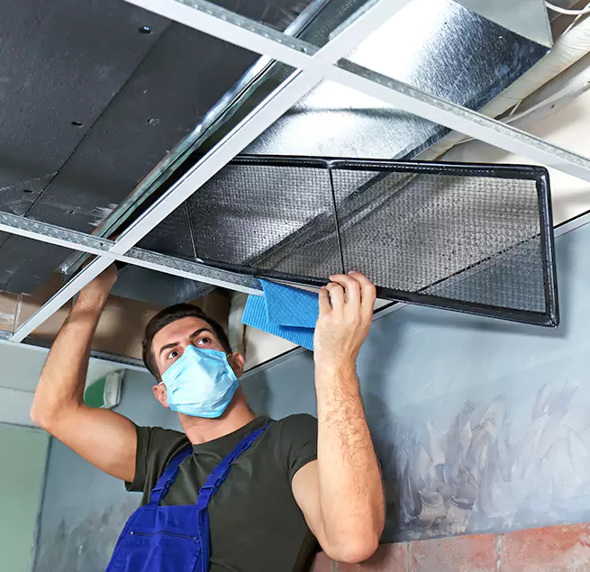 Why Homeowners & Businesses Trust Us in Allen Park, MI?