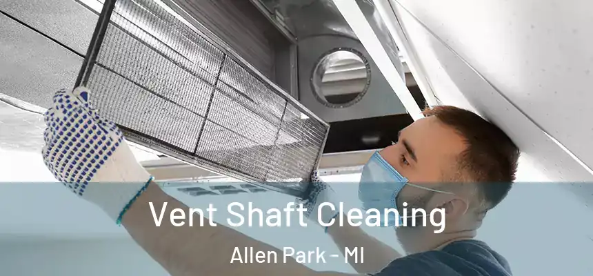 Vent Shaft Cleaning Allen Park - MI